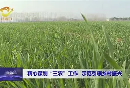 华体会体育官方-雷恩胜服务器，全取三分图败诉的简单介绍